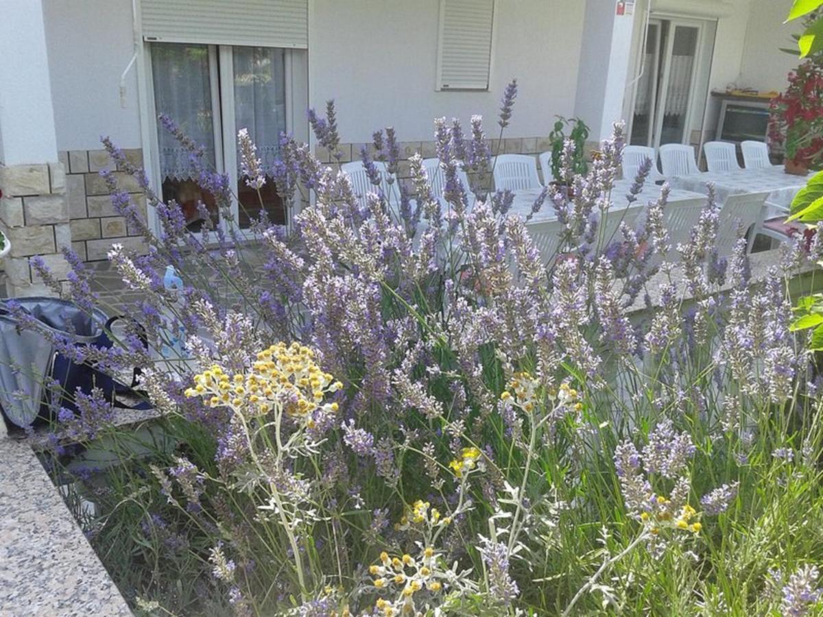 Lovely Meta Apartments Palit Εξωτερικό φωτογραφία