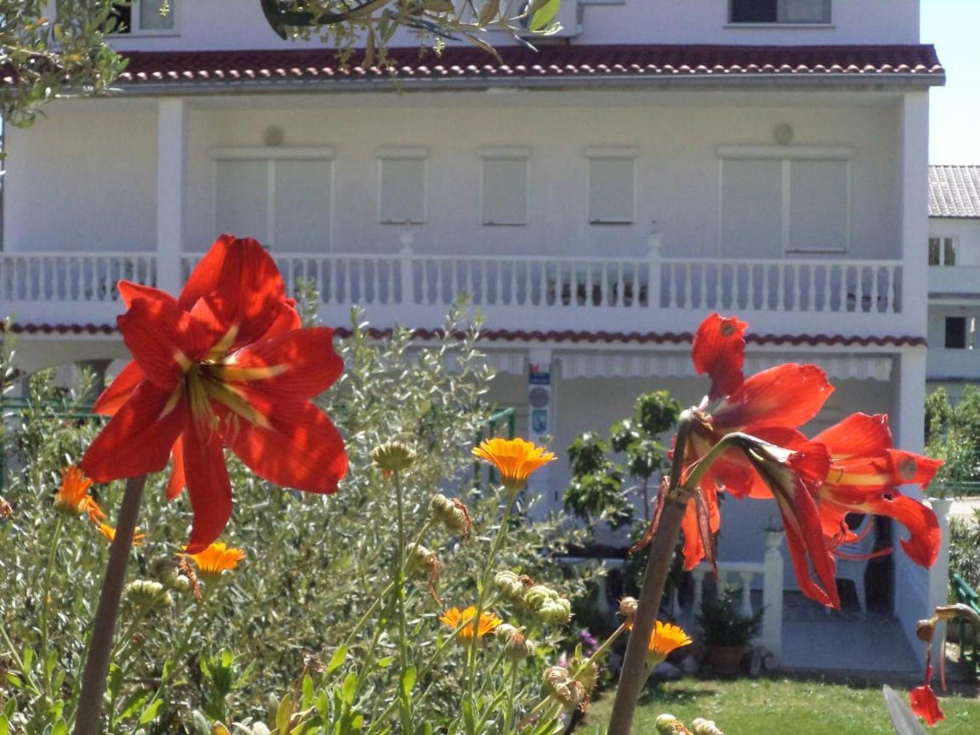 Lovely Meta Apartments Palit Εξωτερικό φωτογραφία